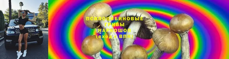 Псилоцибиновые грибы ЛСД Грязи